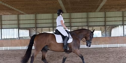 Holiday Dressage Schooling Show \ud83c\udf84