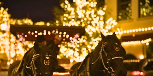 Wagon Nights with Christmas Lights!