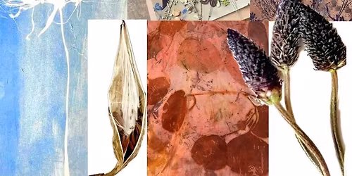 Workshop: Botanical Printmaking - Nature as a Muse