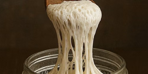 SOURDOUGH STARTER & PIZZA DOUGH WORKSHOP