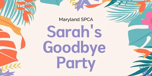 Sarah\u2019s Goodbye Party