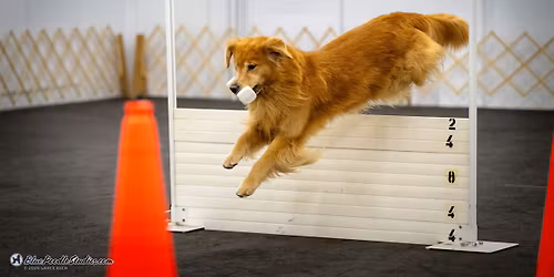 GRCA Eastern Regional Obedience\/Rally Trial