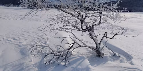 \u0425\u0438\u0436\u0430 \u0421\u0432\u0438\u0449\u0438\u043f\u043b\u0430\u0437 \u0438 \u0421\u0440\u0435\u0434\u043d\u0430 \u0421\u0442\u0430\u0440\u0430 \u041f\u043b\u0430\u043d\u0438\u043d\u0430 