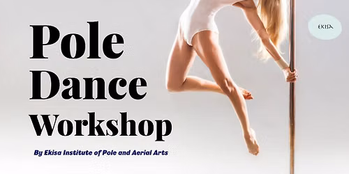 Pole dance beginner workshop