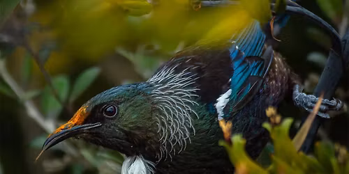 Junior Prizegiving 2025