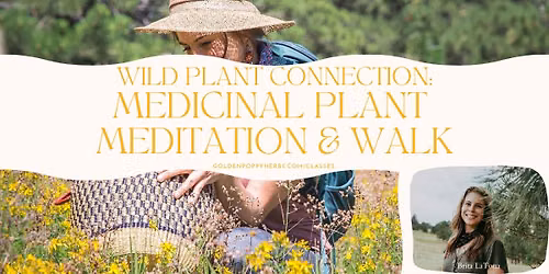 Wild Plant Connection: Plant Meditation & Medicinal Plant Walk with Clinical Herbalist Brita LaTona