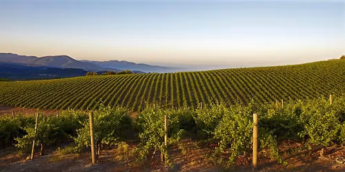 Jake's Famous Crawfish + Caymus Vineyards Wine Dinner