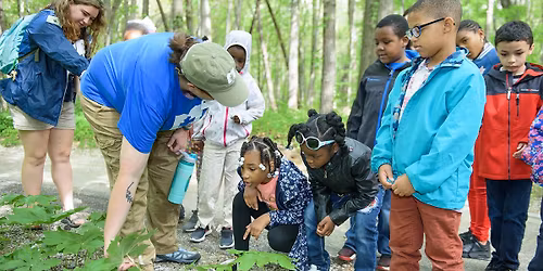 Metroparks Homeschool Series