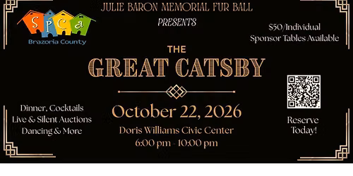 SPCA Julie Baron Memorial Fur Ball - The Great Catsby