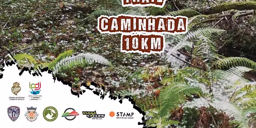VIII Trail São Martinho de Outeiro 