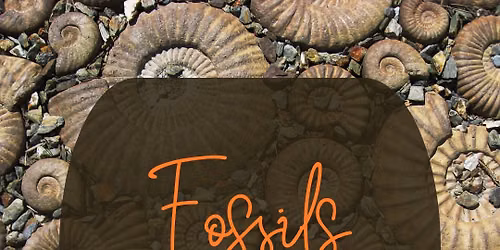 Fossils in Florida: Erna Nixon