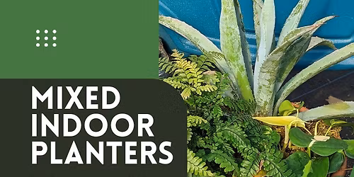 Adults' Workshop - Mixed Indoor Planters