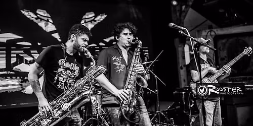 Tru Phonic in Punta Gorda