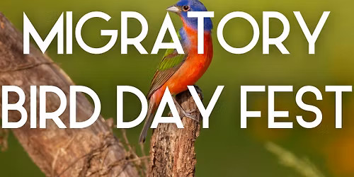 Migratory Bird Day Festival 