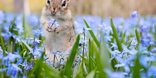 ECO Homeschool Adventures: Keepin' It Fresh