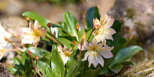 Resin Jewelry Making