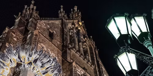 PEVN\u00dd HRAD \/ Varhann\u00ed koncert