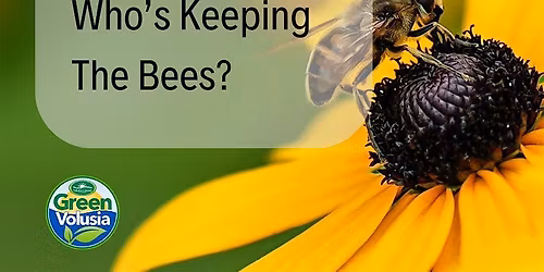 Hive Chat- Who's Keeping The  Bees?
