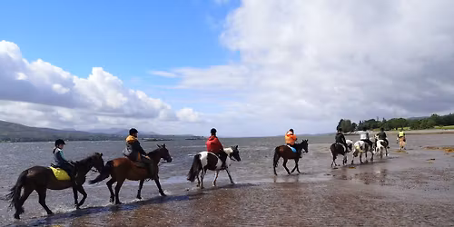 Easter pony Camps for beginners and advanced riders