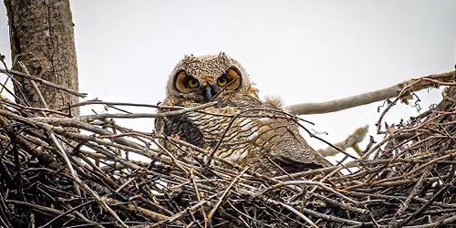 Nature Photography Clinic IS FULL