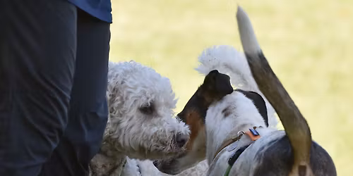 Interazioni Guidate ai Laghi