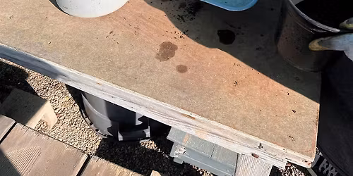 Sow & Grow | Native Plant Care at the Bay