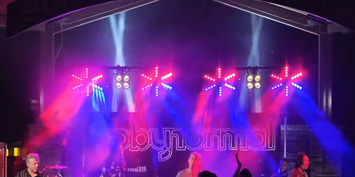 Abbynormal at Shakers New Years Eve!