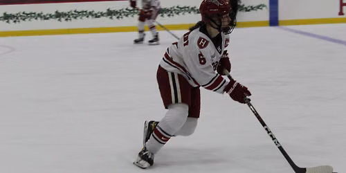 Union Garnet Chargers at Dartmouth Big Green Womens Hockey