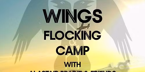 ODIN\u2019S WINGS - WINGSUIT FLOCKING CAMP