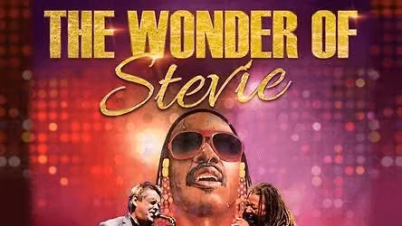 The Wonder Of Stevie