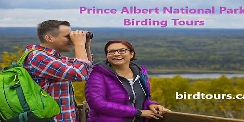 Prince Albert National Park 2-day Birding Tour