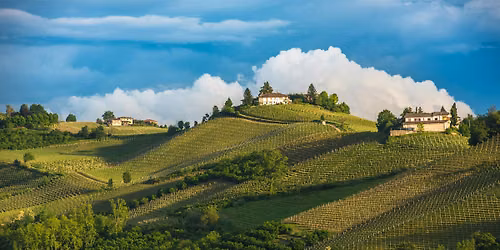 Wine 101: Italy