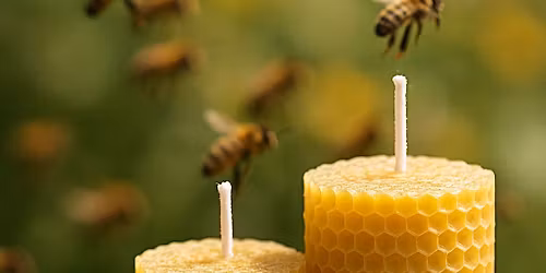 Wax On:  Make your own beeswax candles