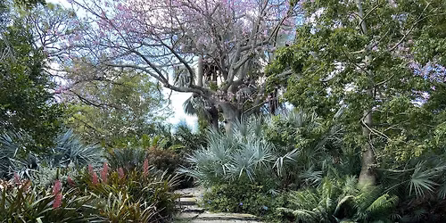 FOREST BATHING IMMERSION