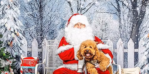 \ud83d\udc3e\ud83c\udf84Paw-liday Photos @ Armor Brewing Co\ud83d\udc3e