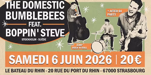 the Domestic Bumblebees feat. Boppin' Steve.
