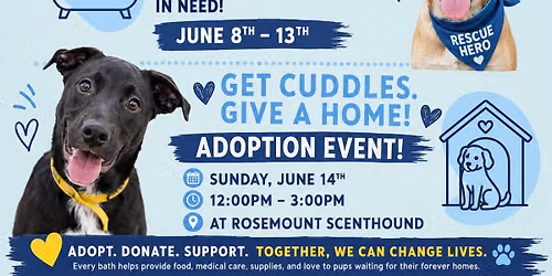 Rescue Network - Scenthound Fundraiser & Adoption Event!\ud83d\udec1\ud83d\udc3e