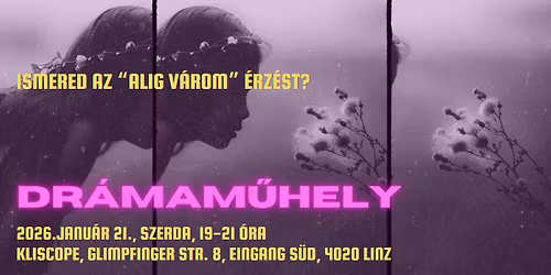 Dr\u00e1mam\u0171hely feln\u0151tteknek Linzben