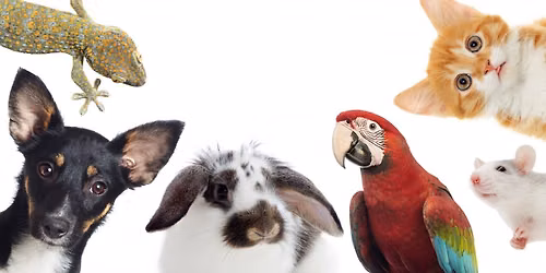 2026 Concert #4: An Evening of Animals (featuring the 28th Annual Pet Parade)