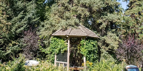 YYC Trees: Reader Rock Garden, Tree History Guided Walk