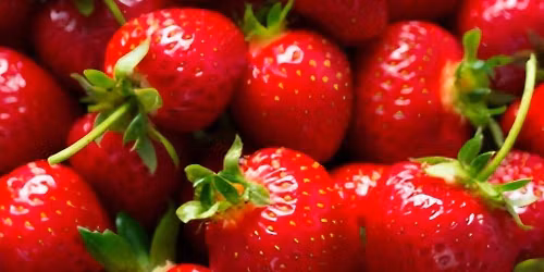 Strawberry Shortcake Class at Always Hungry Grocery in Carlsbad