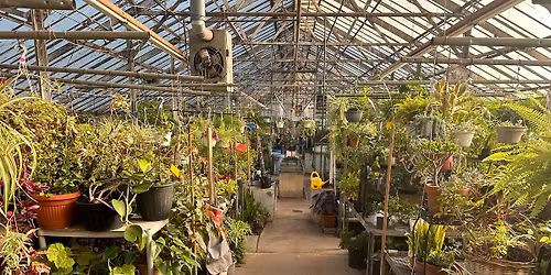 2026 Annual PLANT SALE