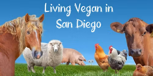 Organic vegan no sugar thanksgiving