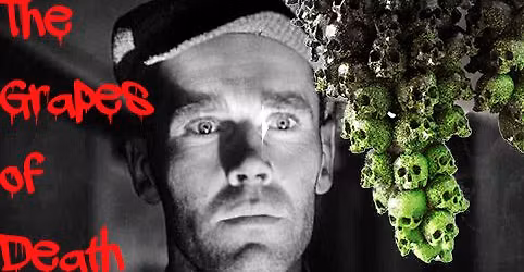 Murder Mystery- The Grapes of Death