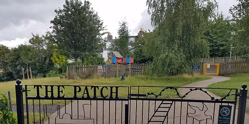 Picnic in The Patch