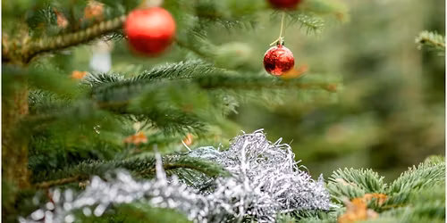 TAG Your 2025 MERRI Christmas Tree