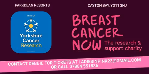 Ladies in Pink real monty!! charity big night out