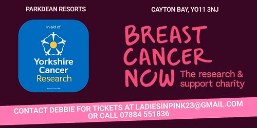 Ladies in Pink real monty!! charity big night out