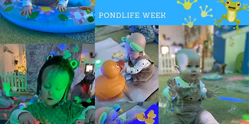 Pondlife 