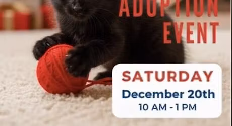 Adopt at PetSmart